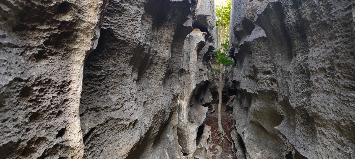 PN TSINGY DE BEMARAHA