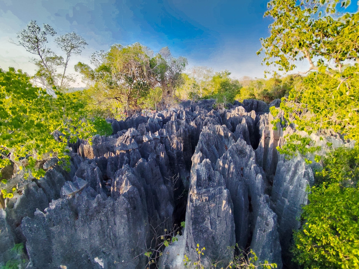 PN TSINGY DE BEMARAHA