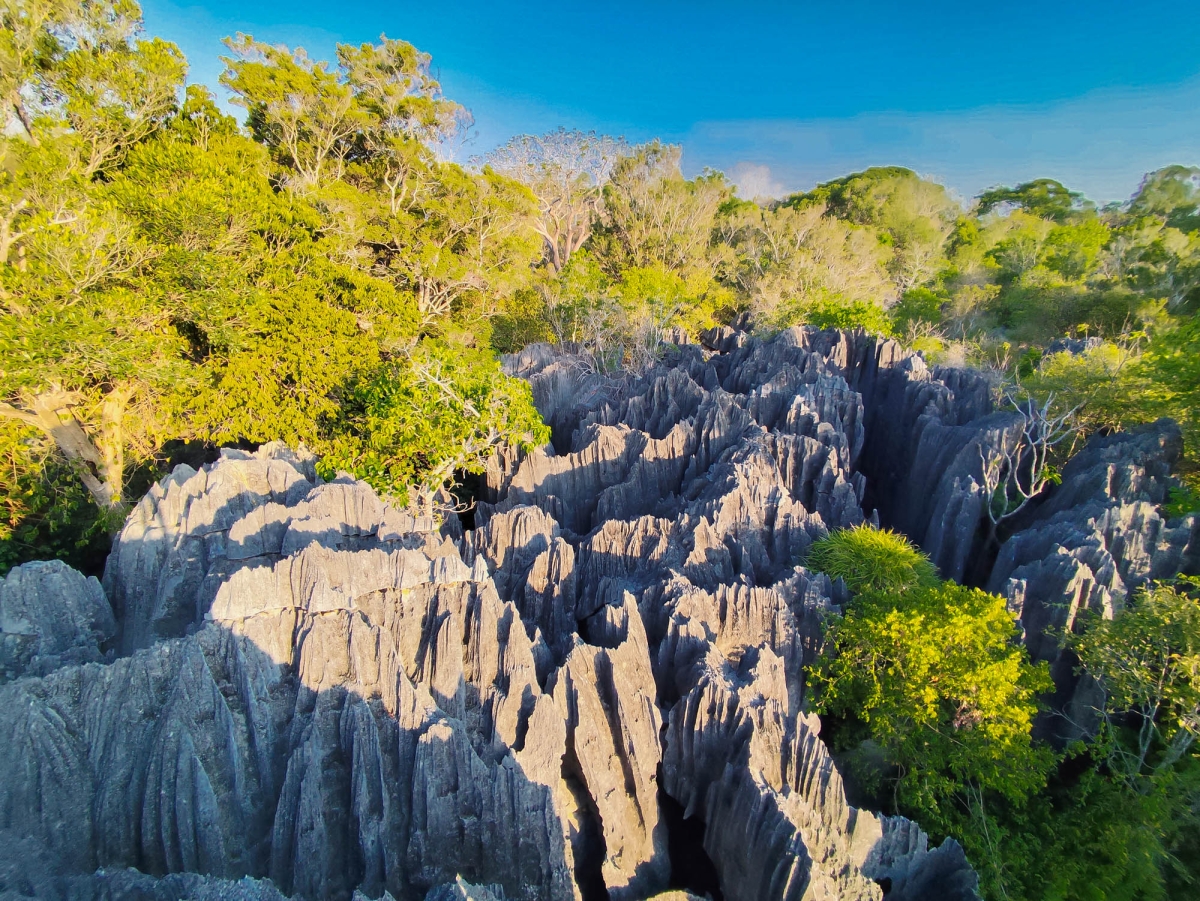 PN TSINGY DE BEMARAHA