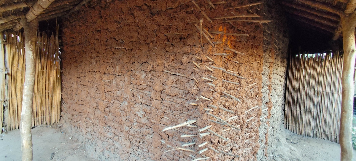 DETALLS DE LES CONSTRUCCIONS DE CANYA I FANG