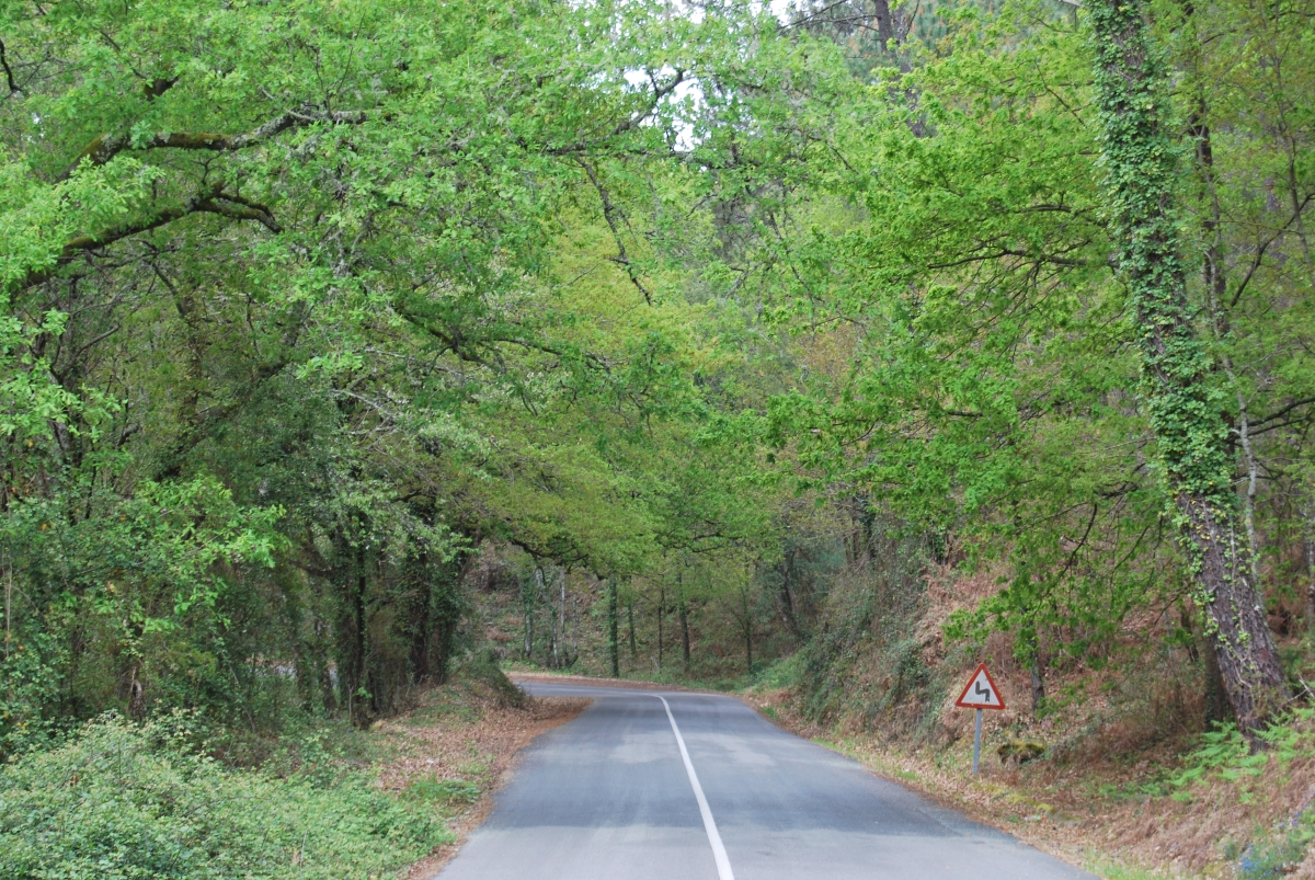 Cortega. O Ribeiro. Ourense. Galicia