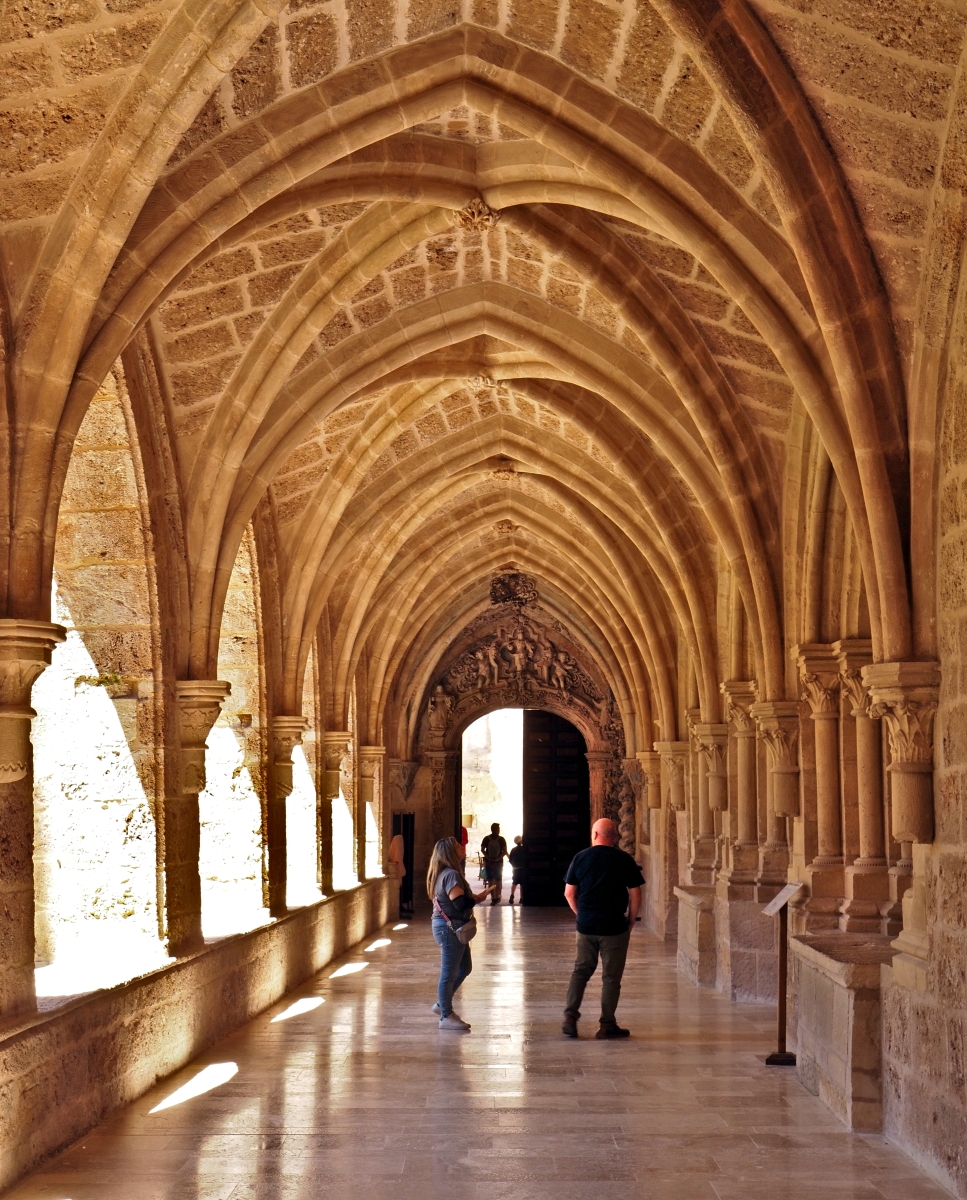 Claustro