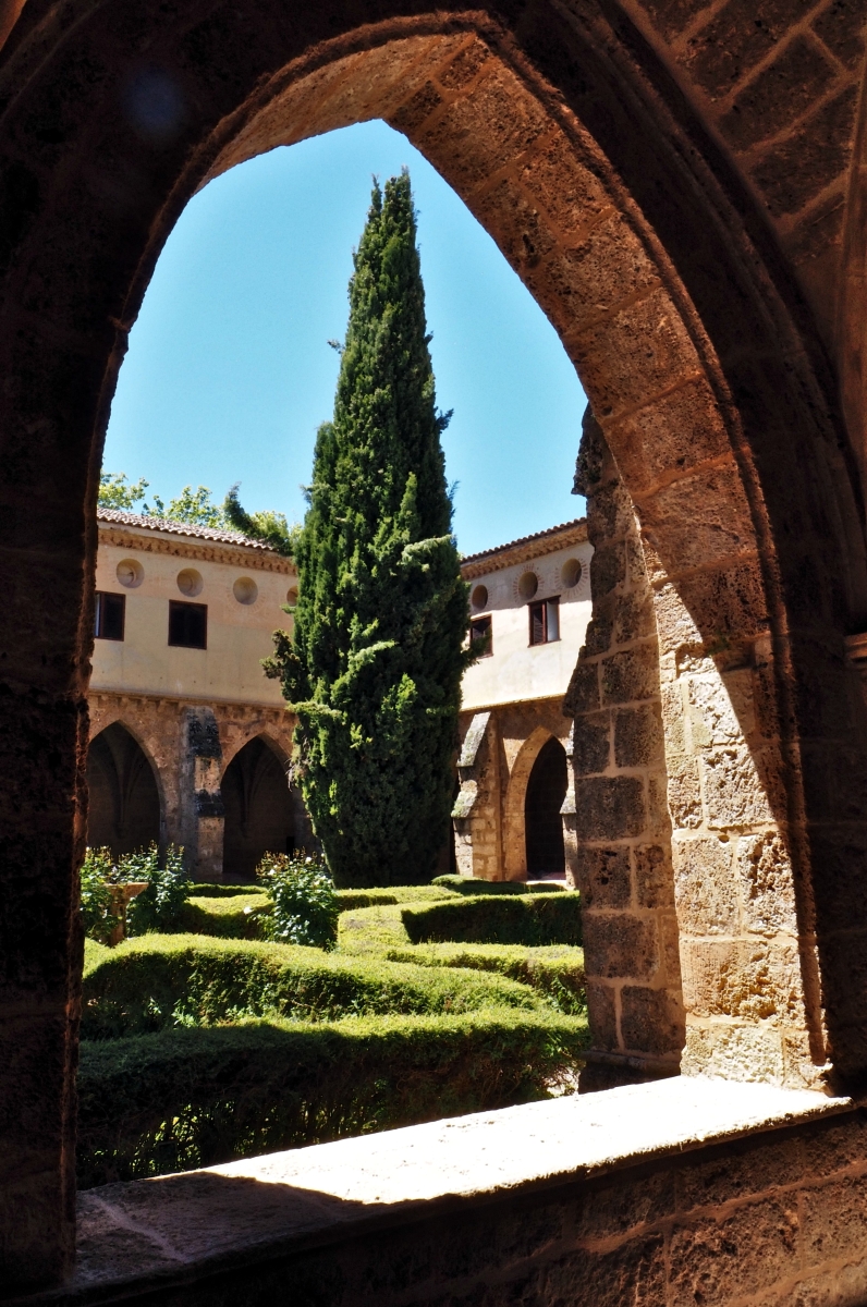 Claustro V