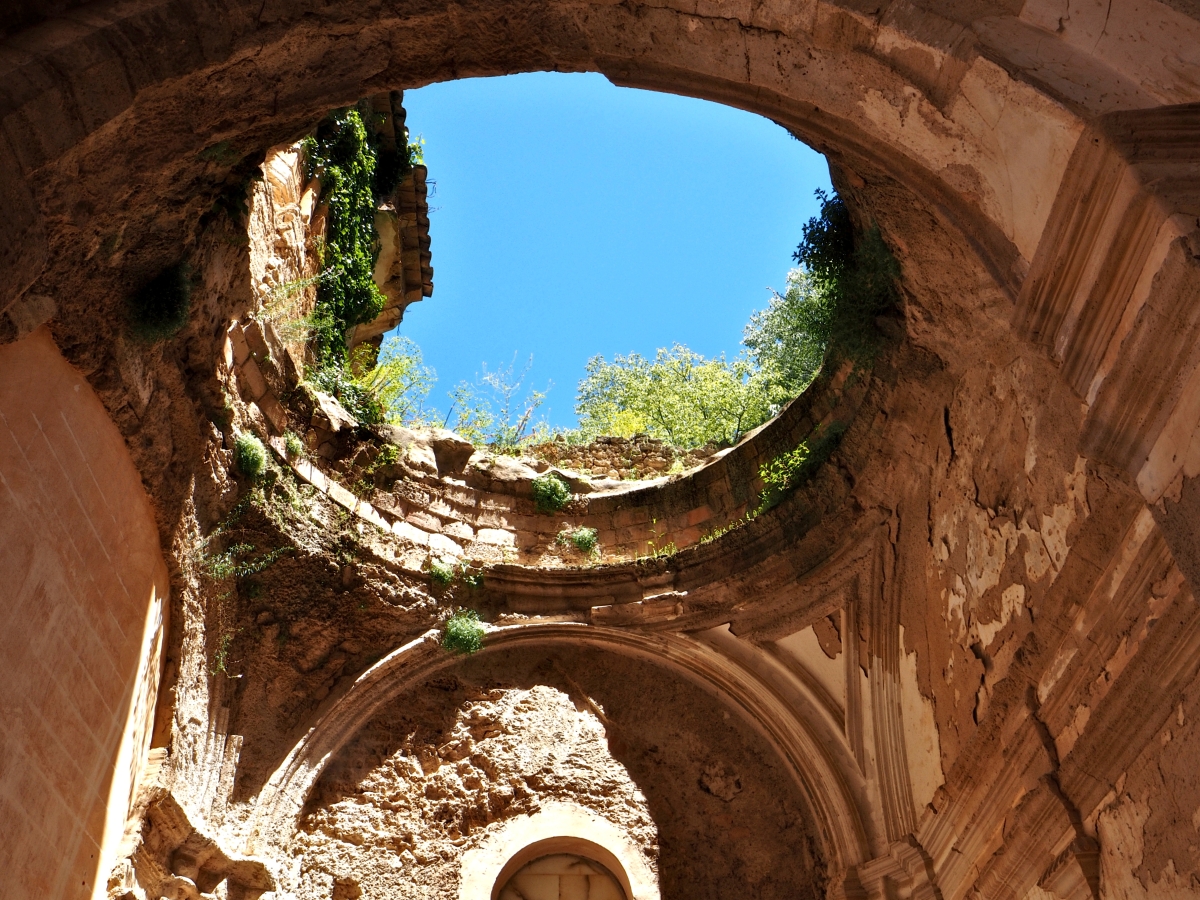 Claustro VIII 