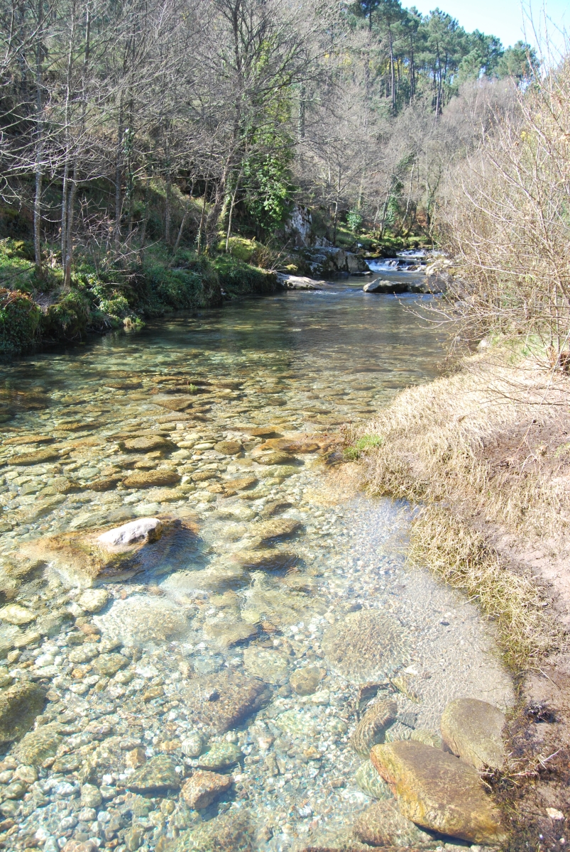 Ro Cerves. O Ribeiro. Ourense