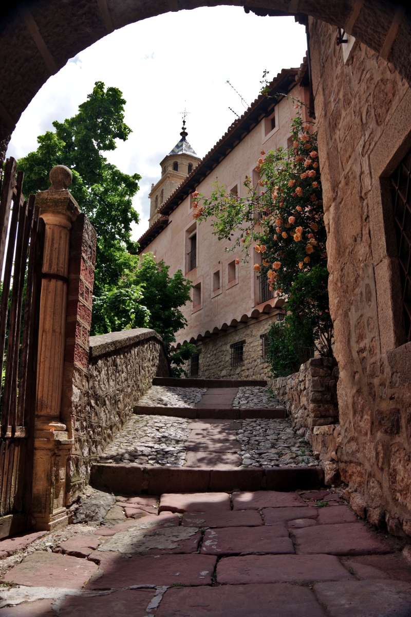 Calles Tpicas IX