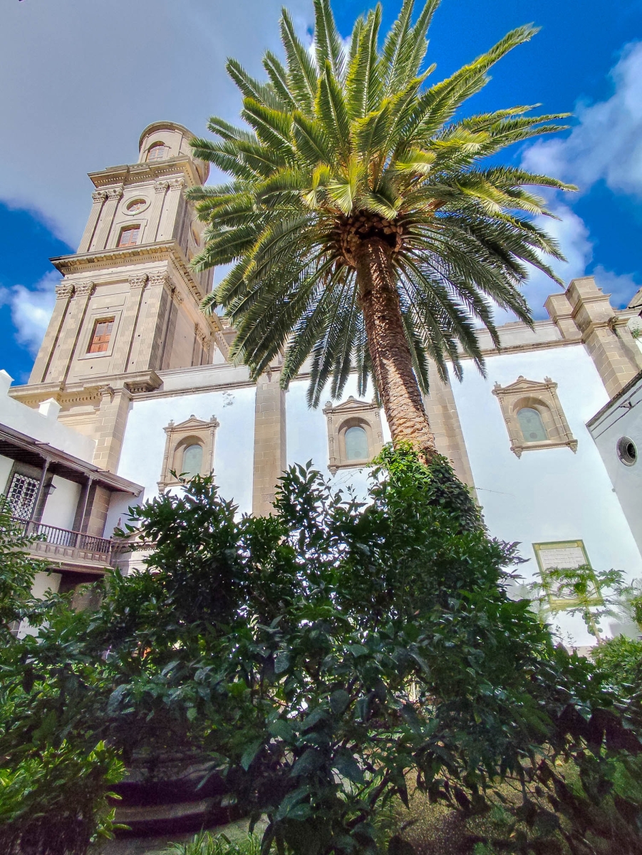 CLAUSTRE-JARD DE LA CATEDRAL