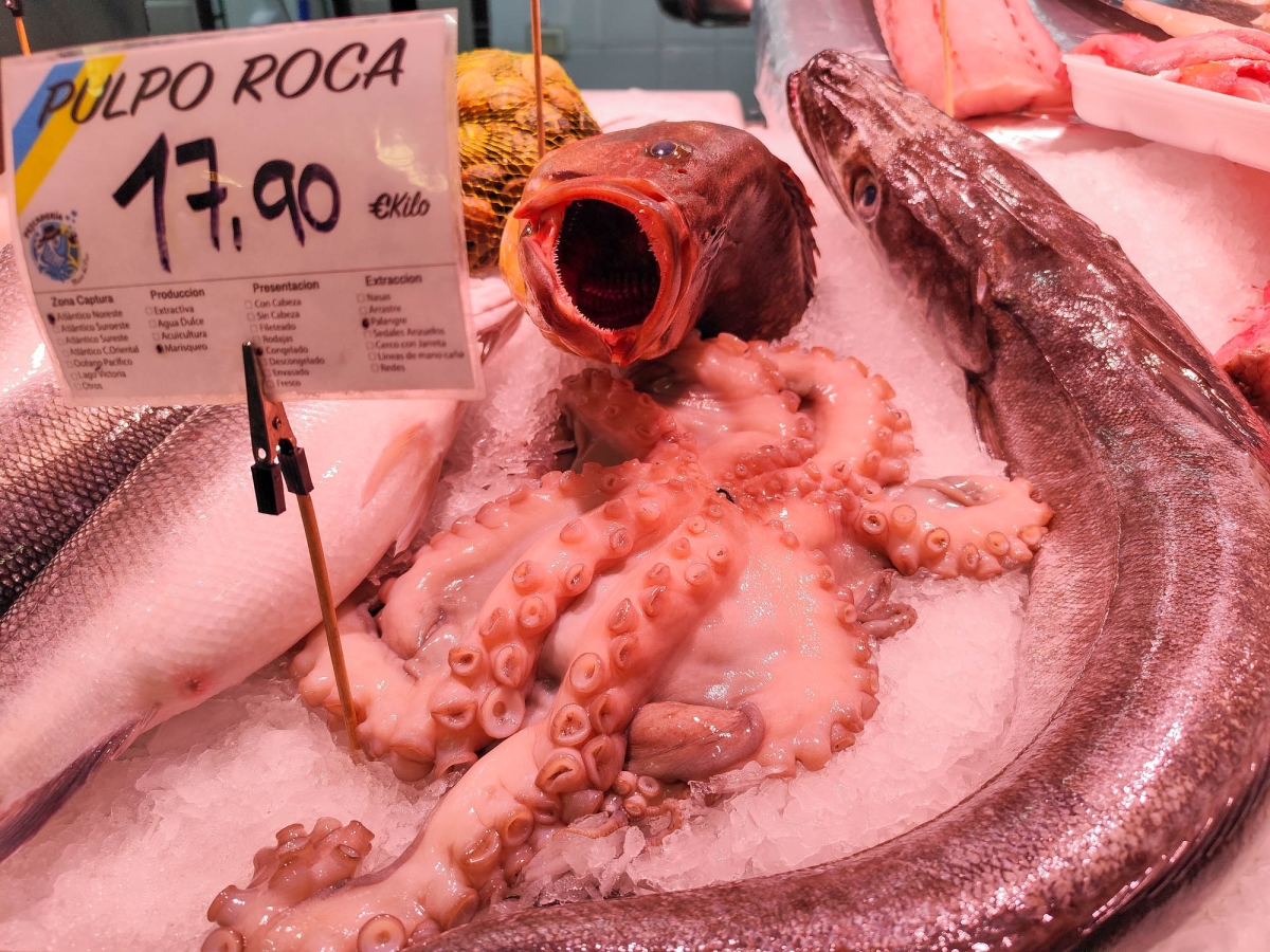 MERCADO DE LA VEGUETA