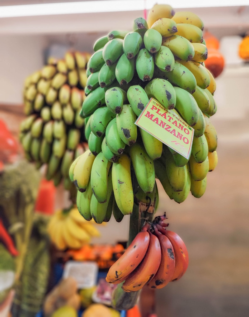 MERCADO DE LA VEGUETA