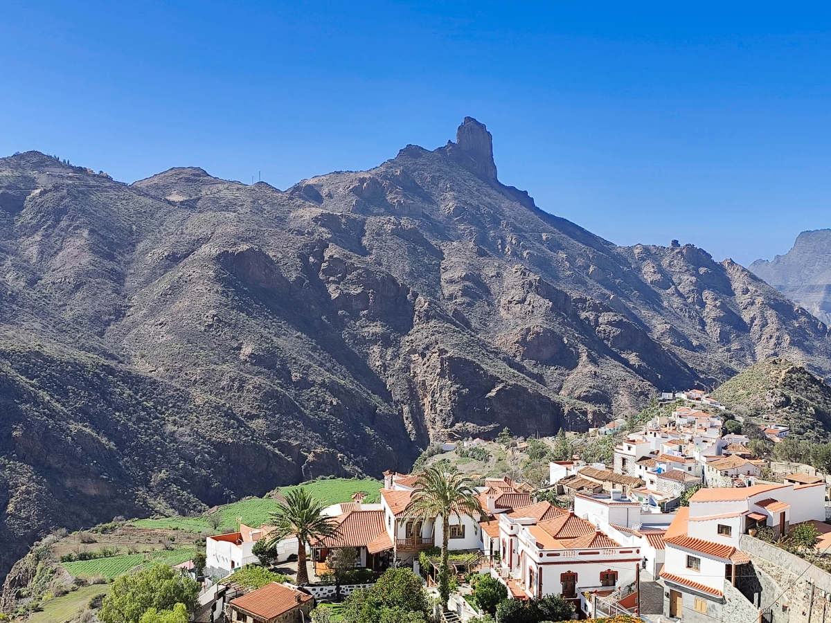 ROQUE BENTAYGA