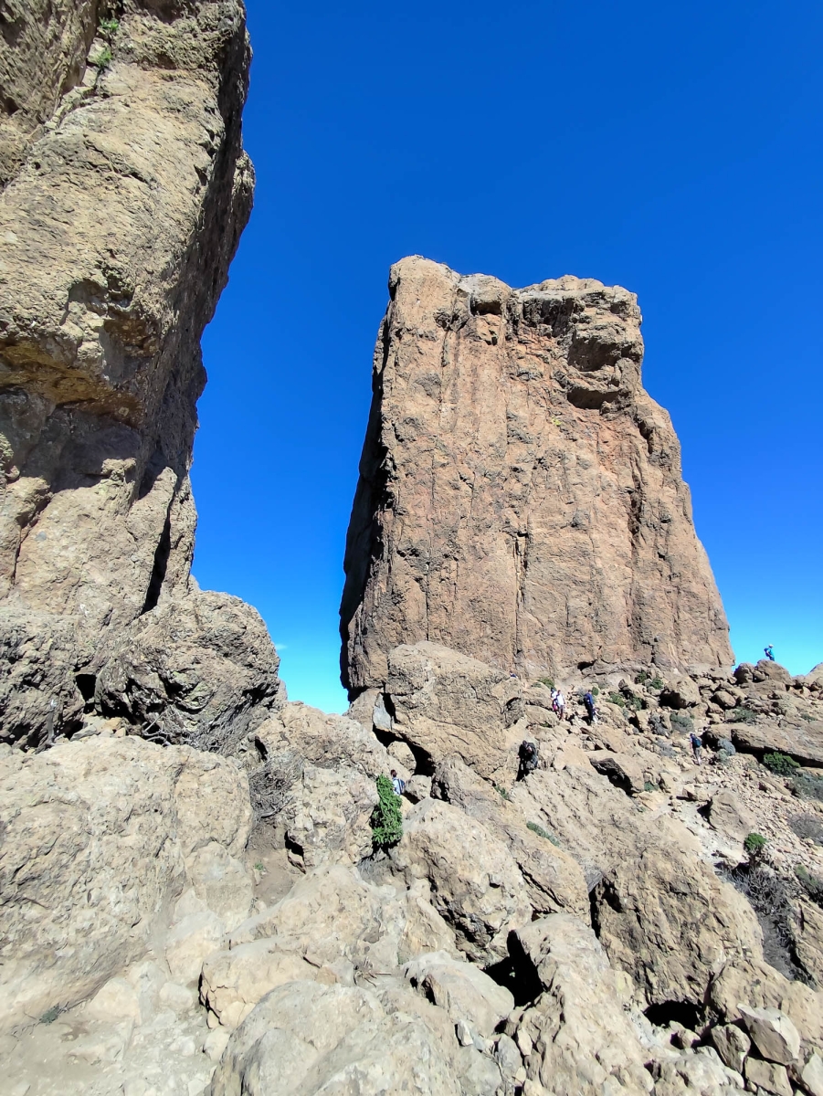 ROQUE NUBLO