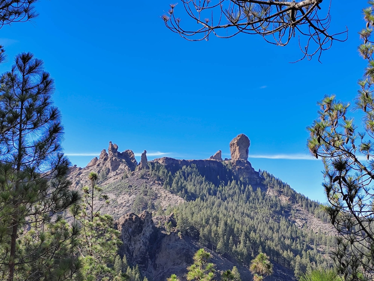 ROQUE NUBLO