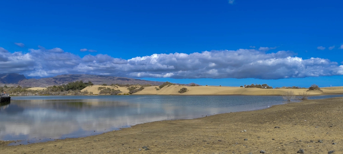 DUNAS DE MASPALOMAS