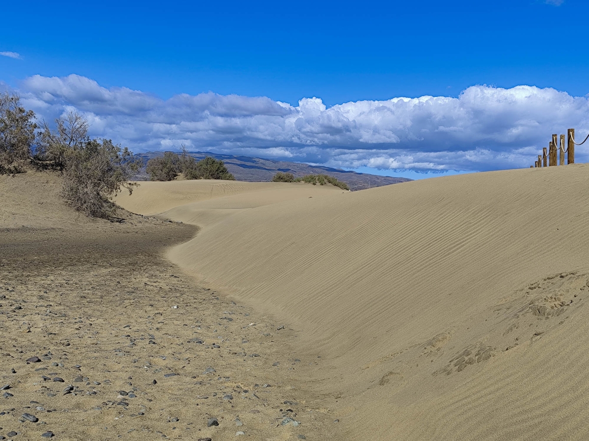 DUNAS DE MASPALOMAS