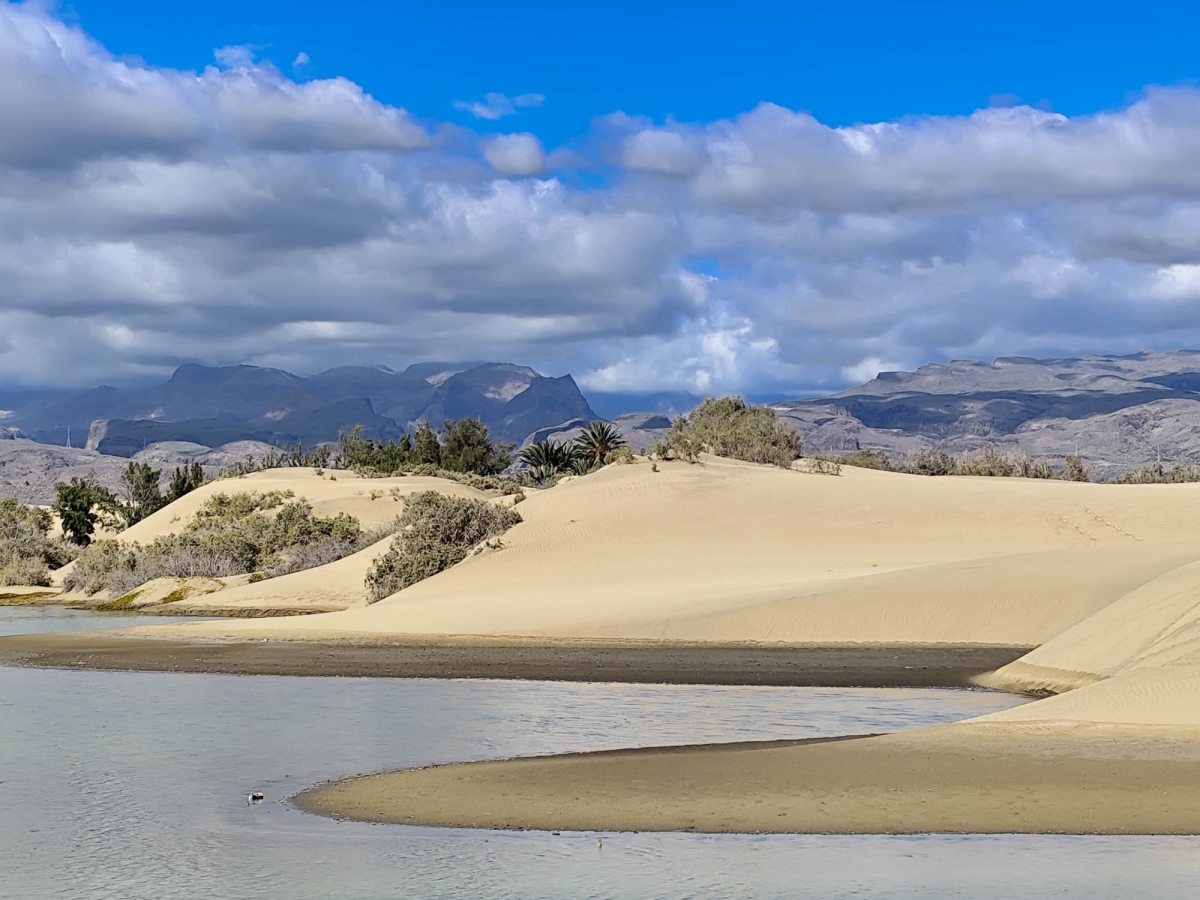 DUNAS DE MASPALOMAS