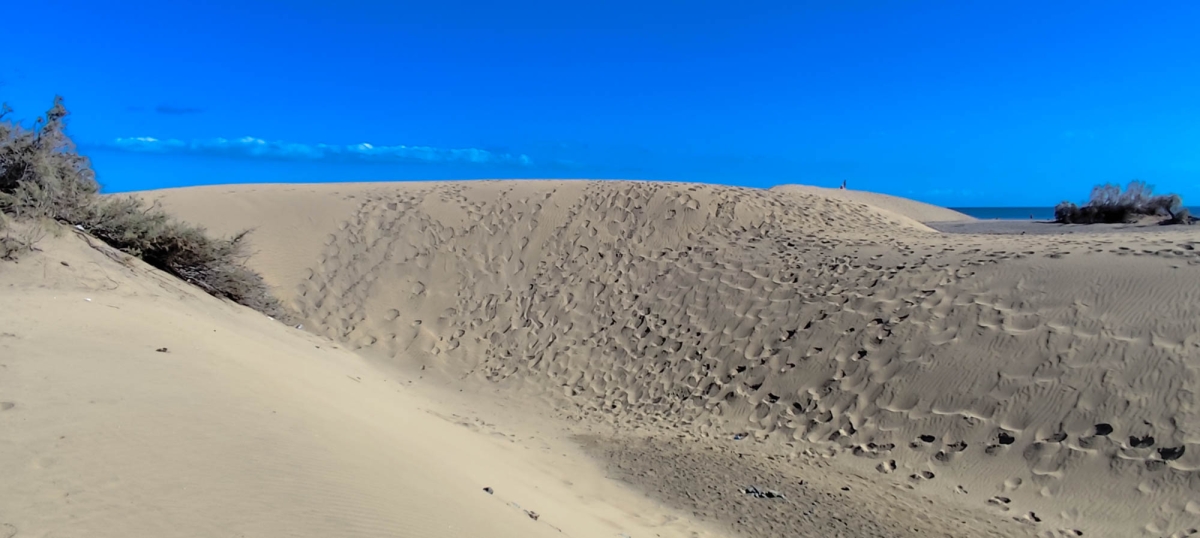 DUNAS DE MASPALOMAS