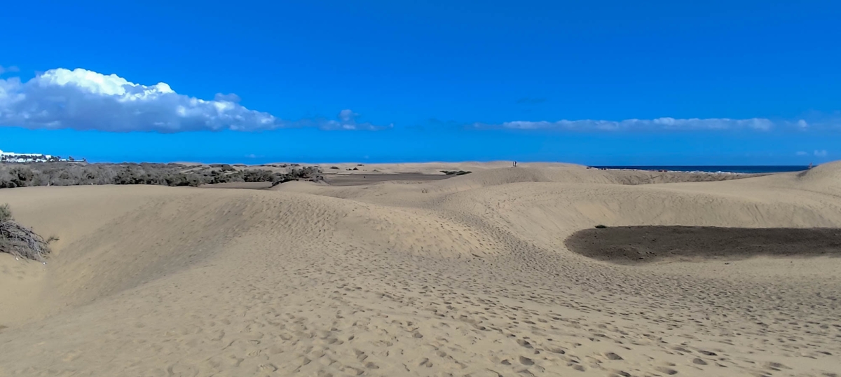 DUNAS DE MASPALOMAS
