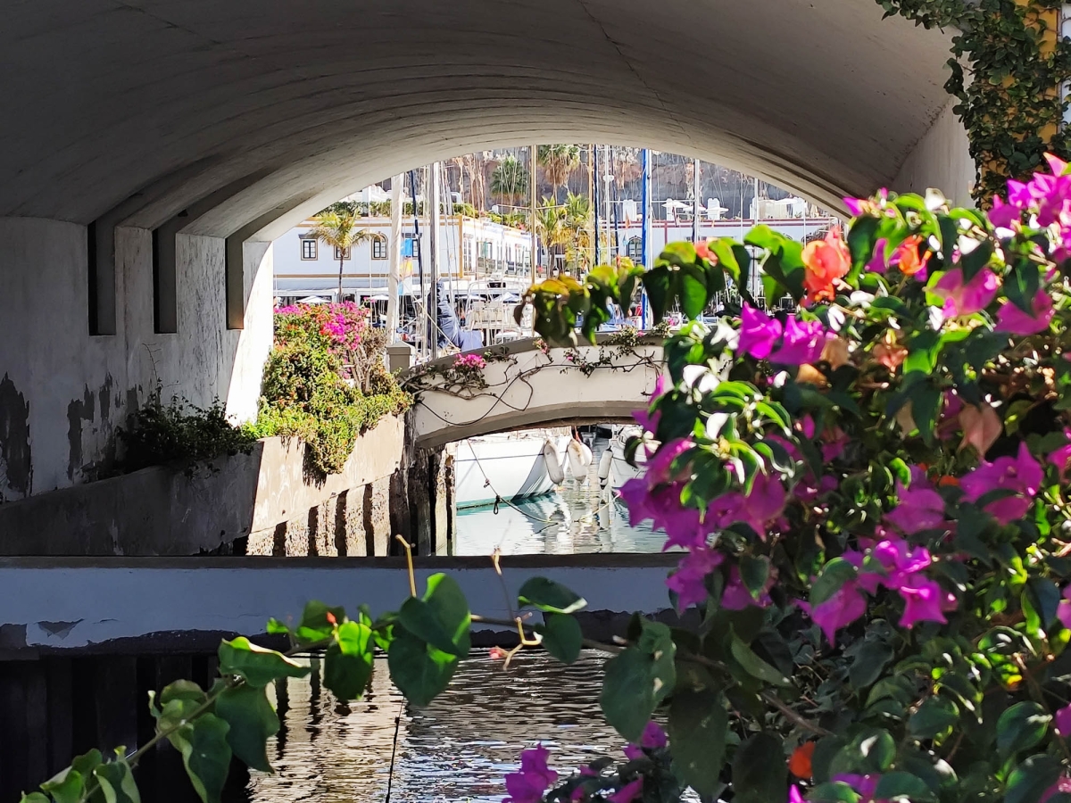 PORT DE MOGN
