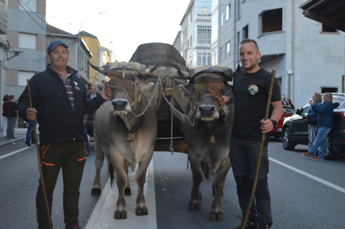 Feira do gando do Castro de Caldelas. Ourense. Galicia