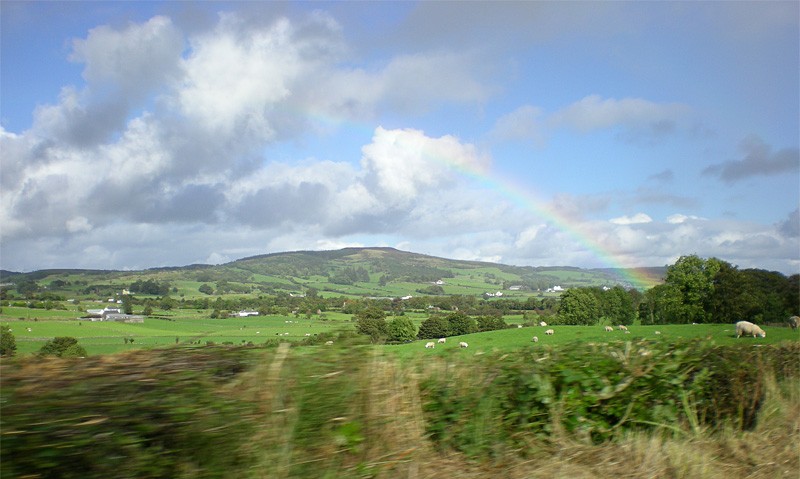 Persiguiendo al arco iris