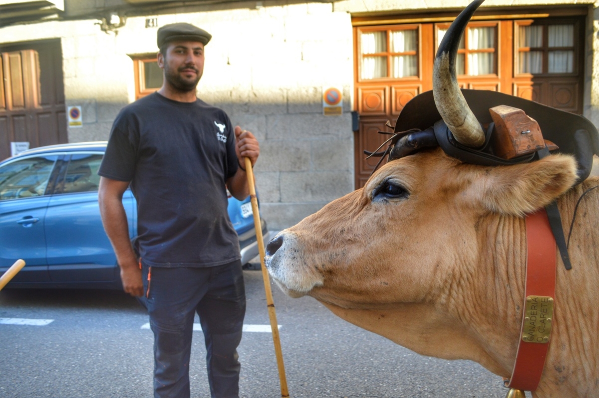 Feira do gando do Castro de Caldelas. Ourense. Galicia