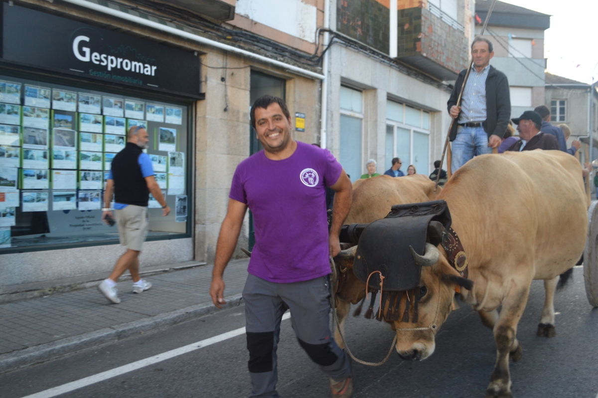 Feira do gando do Castro de Caldelas. Ourense. Galicia