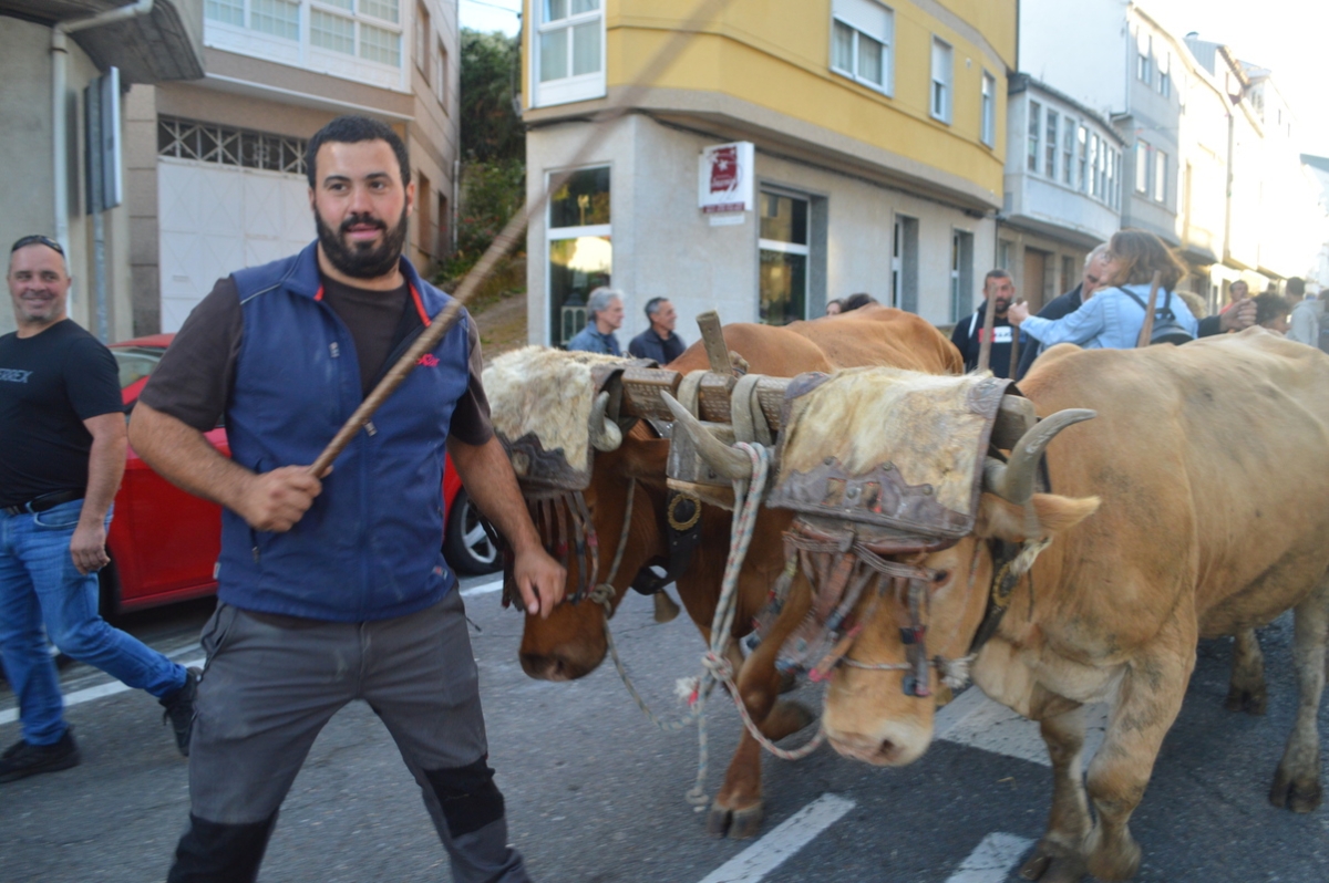 Feira do gando do Castro de Caldelas. Ourense. Galicia