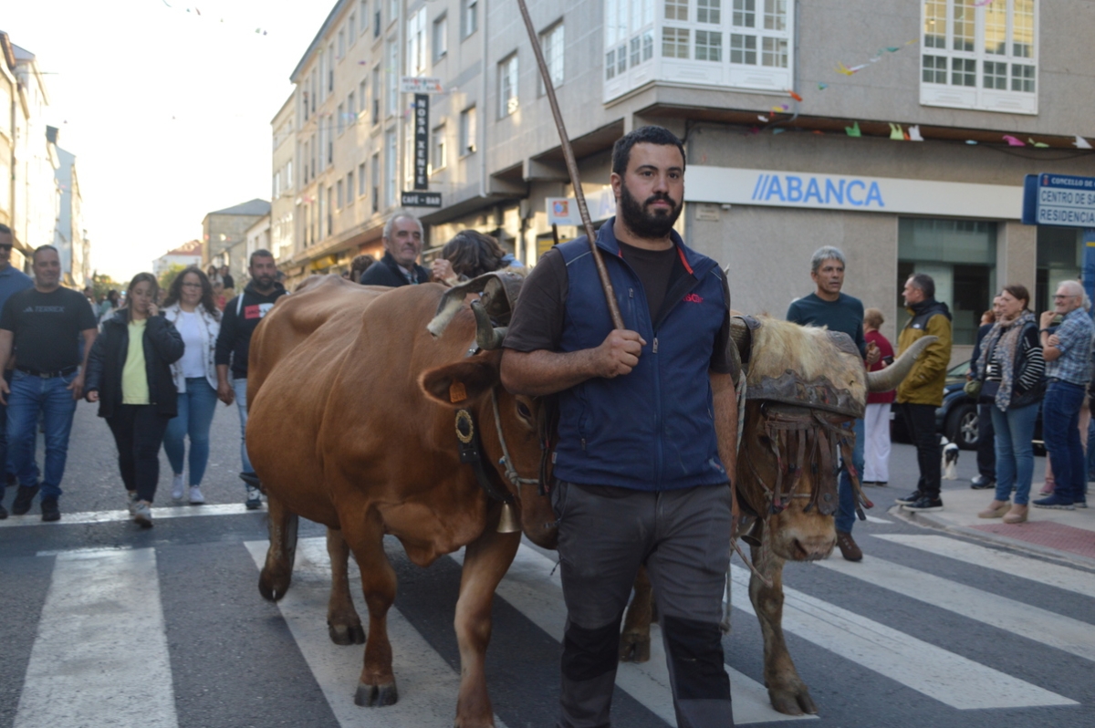 Feira do gando do Castro de Caldelas. Ourense. Galicia