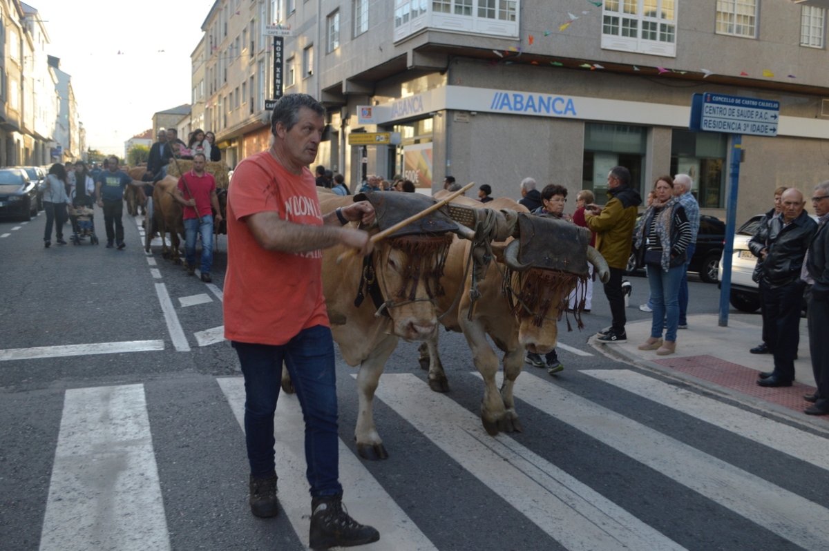 Feira do gando do Castro de Caldelas. Ourense. Galicia