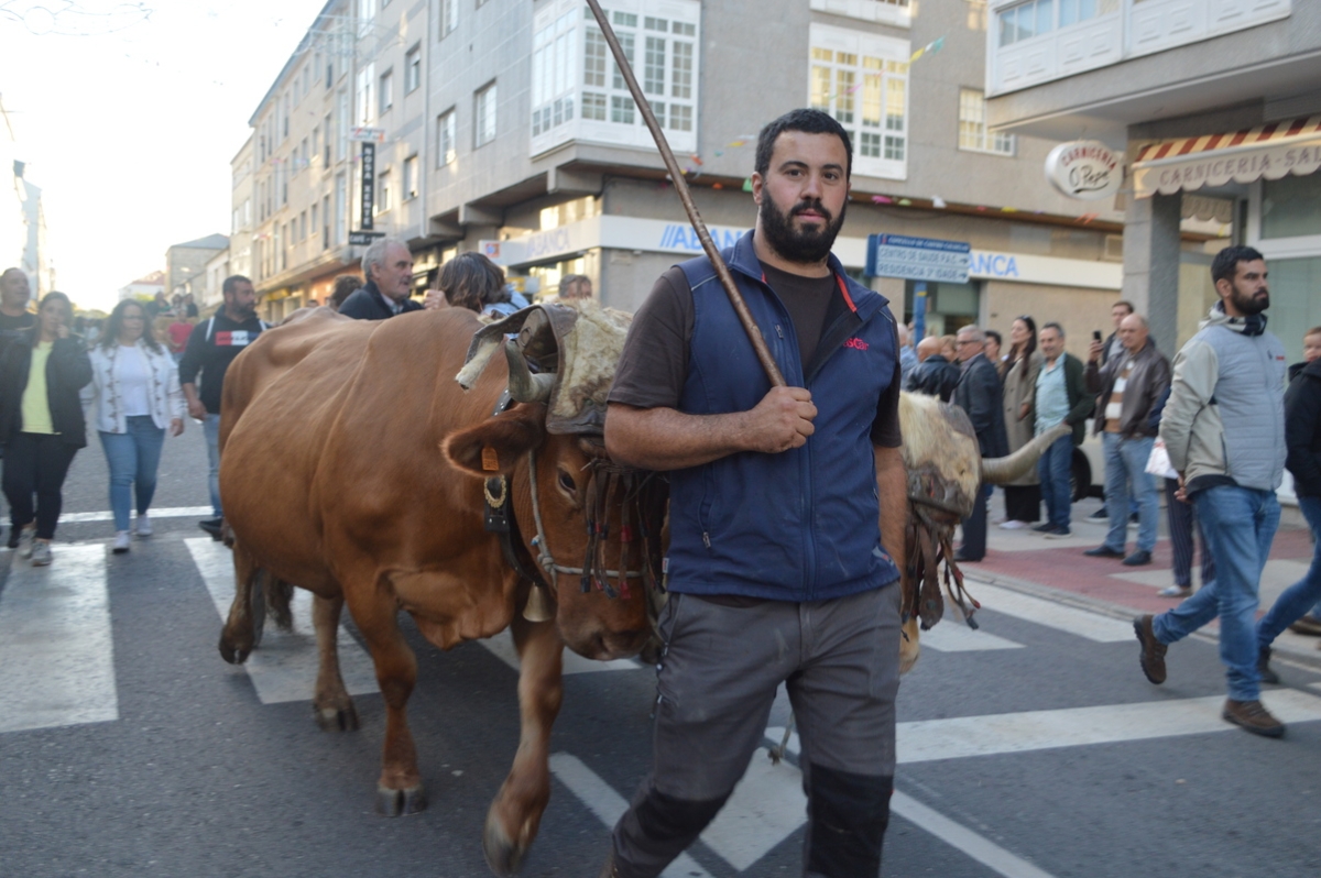 Feira do gando do Castro de Caldelas. Ourense. Galicia