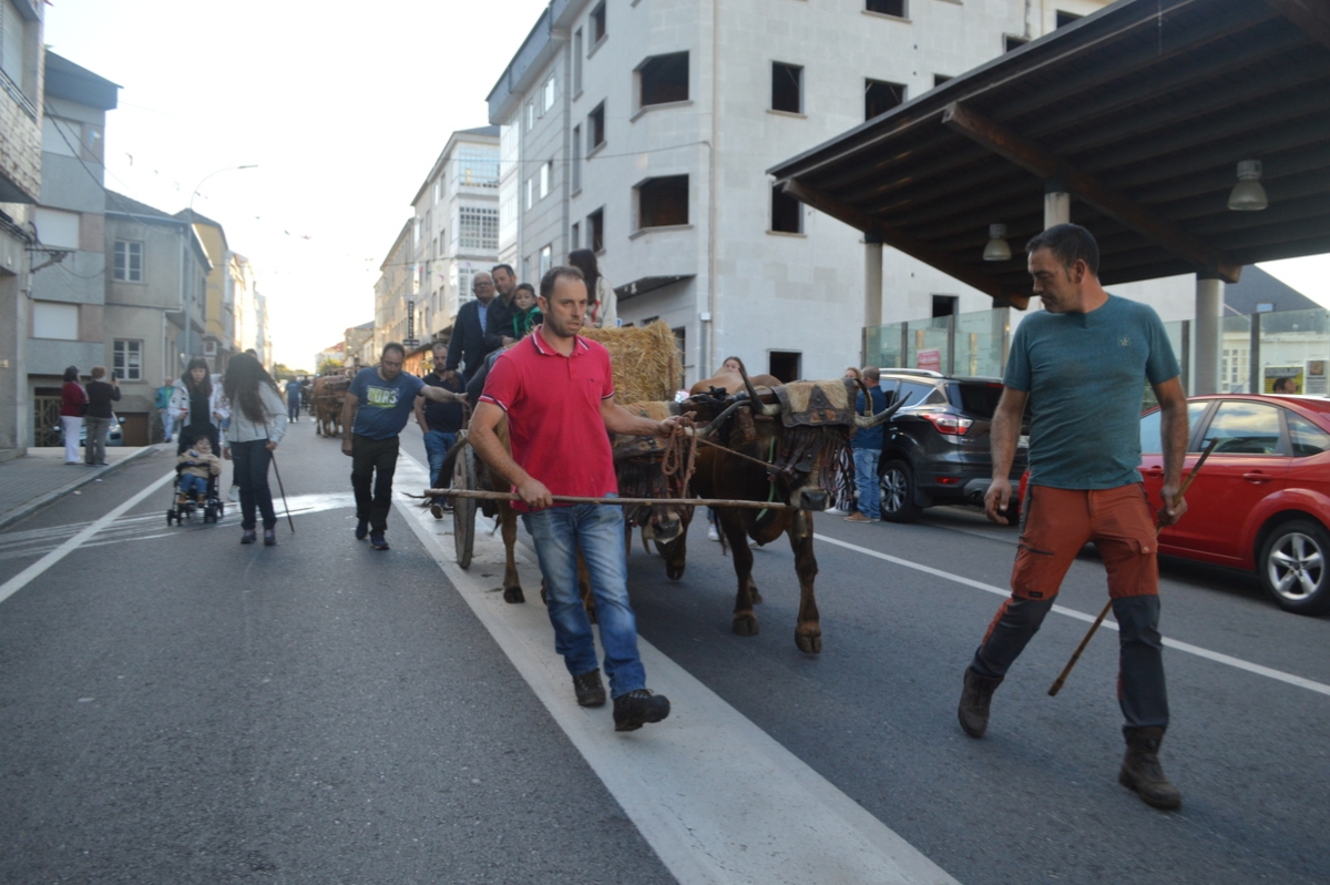 Feira do gando do Castro de Caldelas. Ourense. Galicia