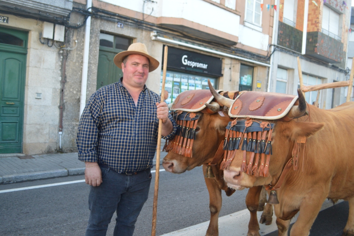 Feira do gando do Castro de Caldelas. Ourense. Galicia