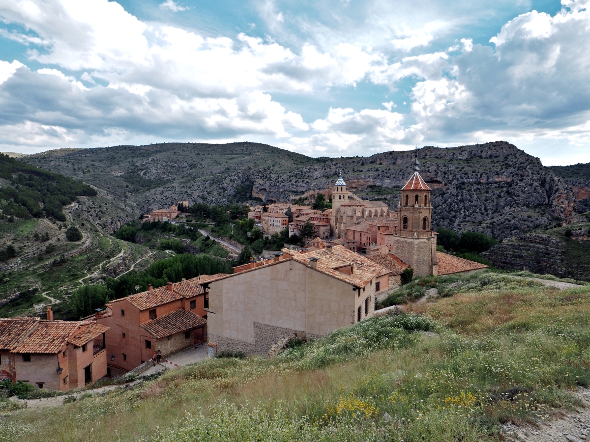 La insula