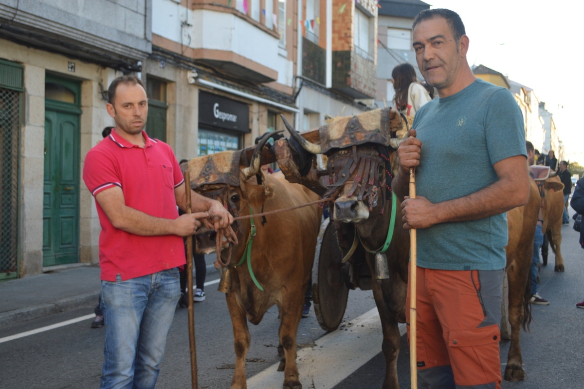 Feira do gando do Castro de Caldelas. Ourense. Galicia