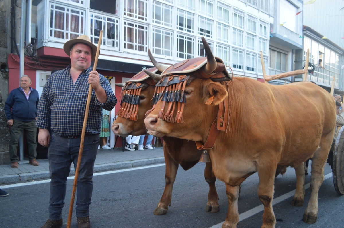 Feira do gando do Castro de Caldelas. Ourense. Galicia byJOM