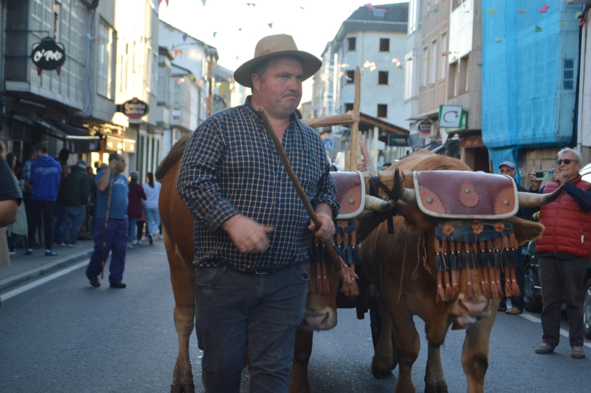 Feira do gando do Castro de Caldelas. Ourense. Galicia