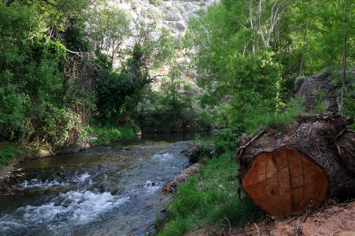 Paseo fluvial