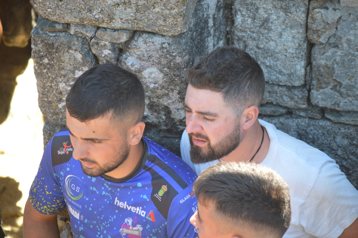 Rapa das Bestas de Sabucedo. A Estrada (pontevedra, Galicia) Festa de interese turstico internacional. Cabalos 2025