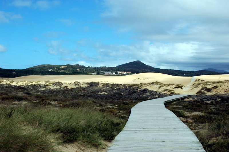 El camino de Baldosas.