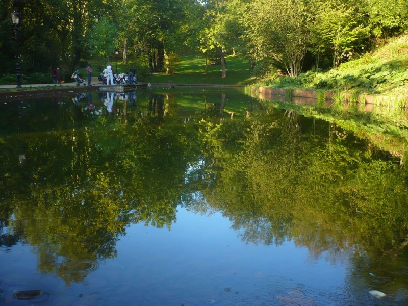 Reflejos