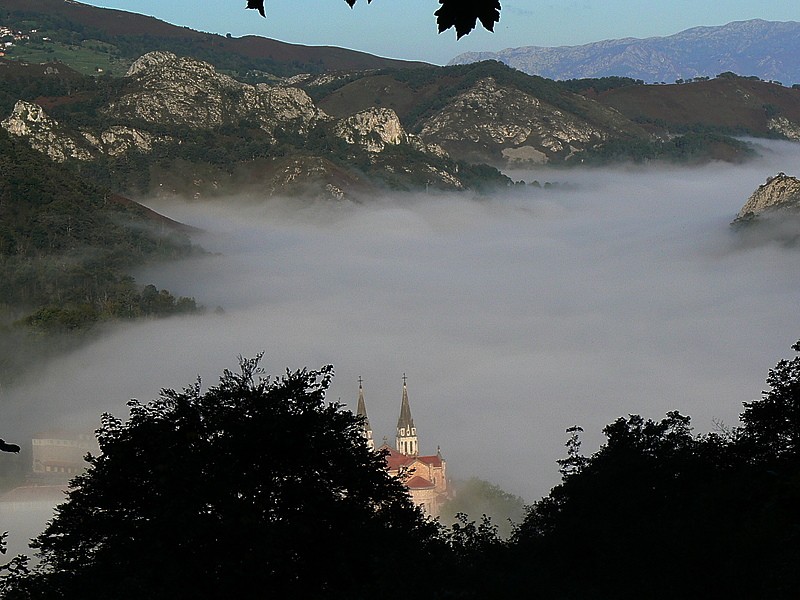 en la niebla