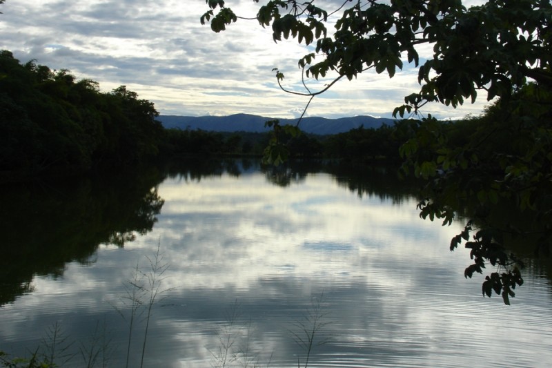 reflejo