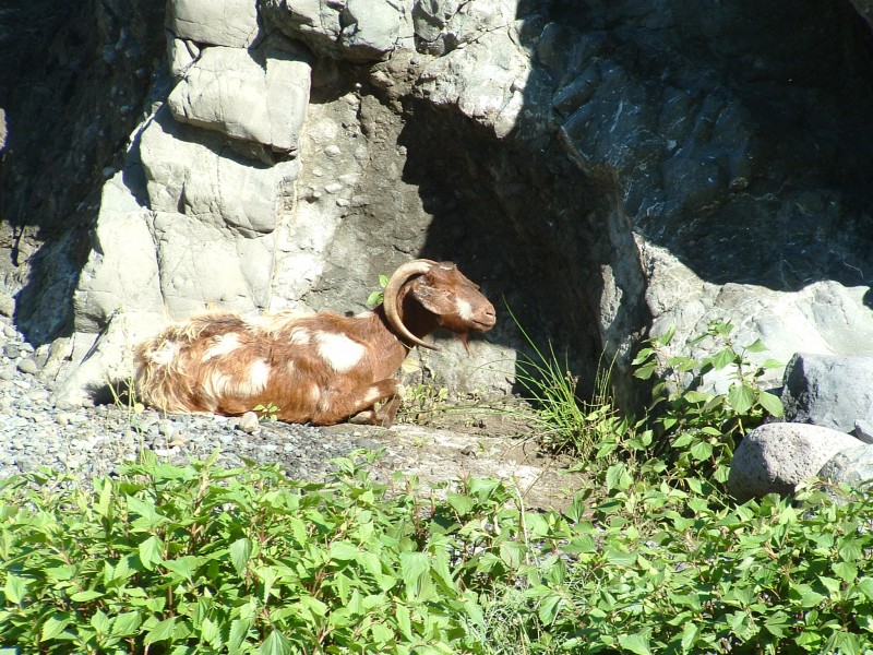 tomando el sol