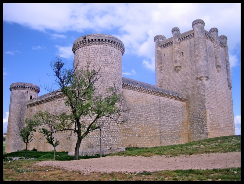 Castillo de Torrelobatn