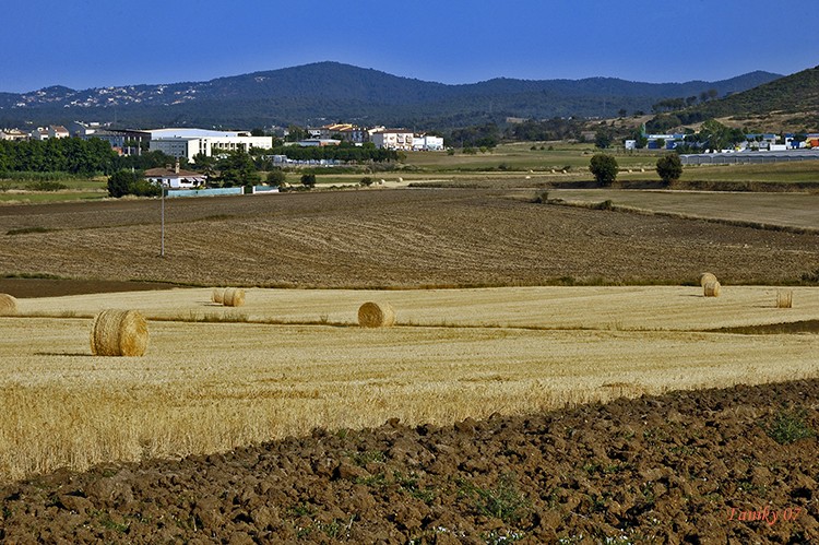 La cosecha