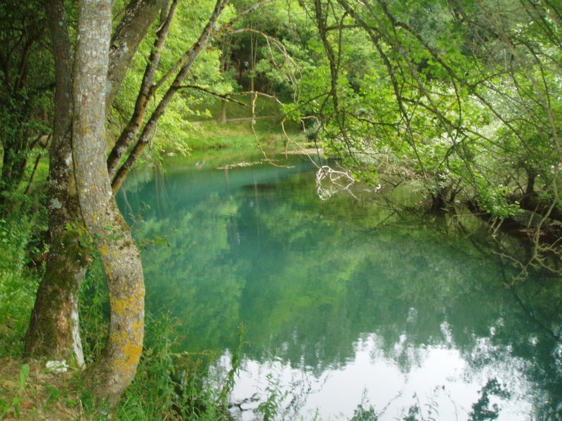 Nacimiento del Ebro