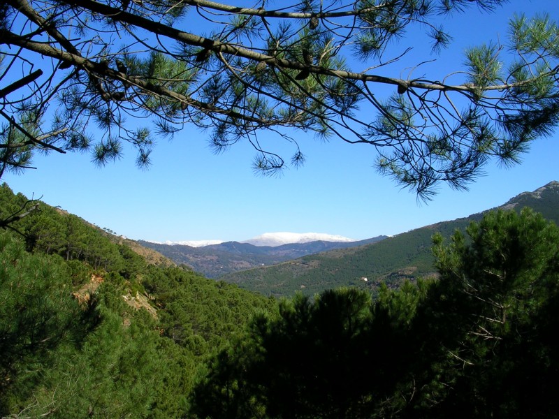 Sierra Bermeja despues de la lluvia