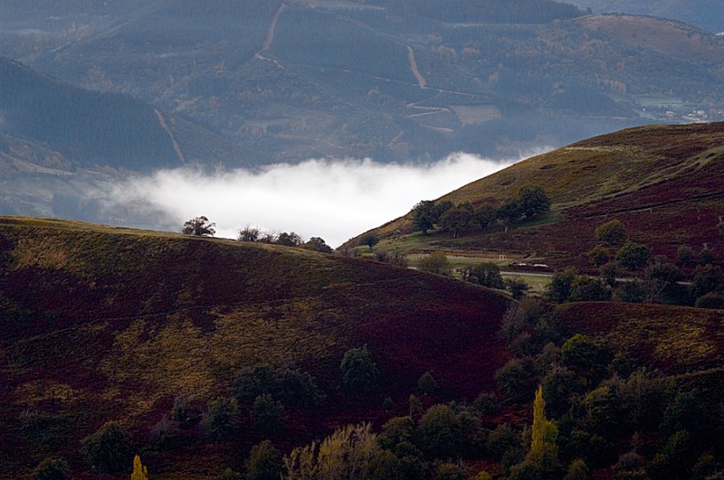 El valle y la niebla