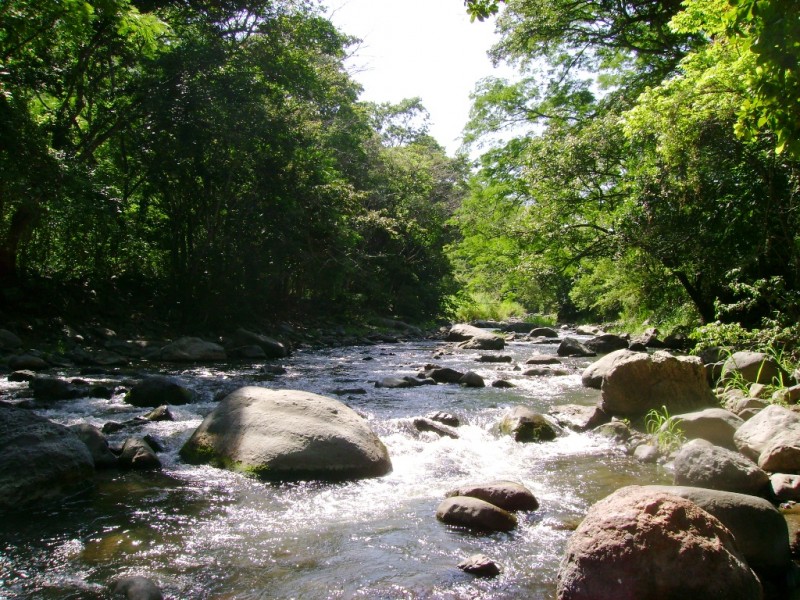 Rio_Jocotal