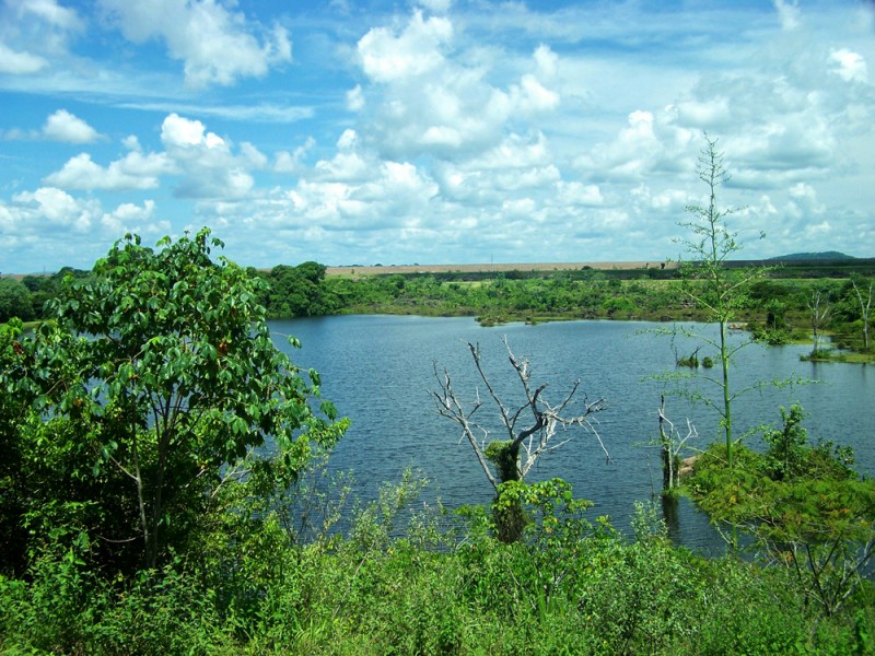 Naturaleza y Humanidad